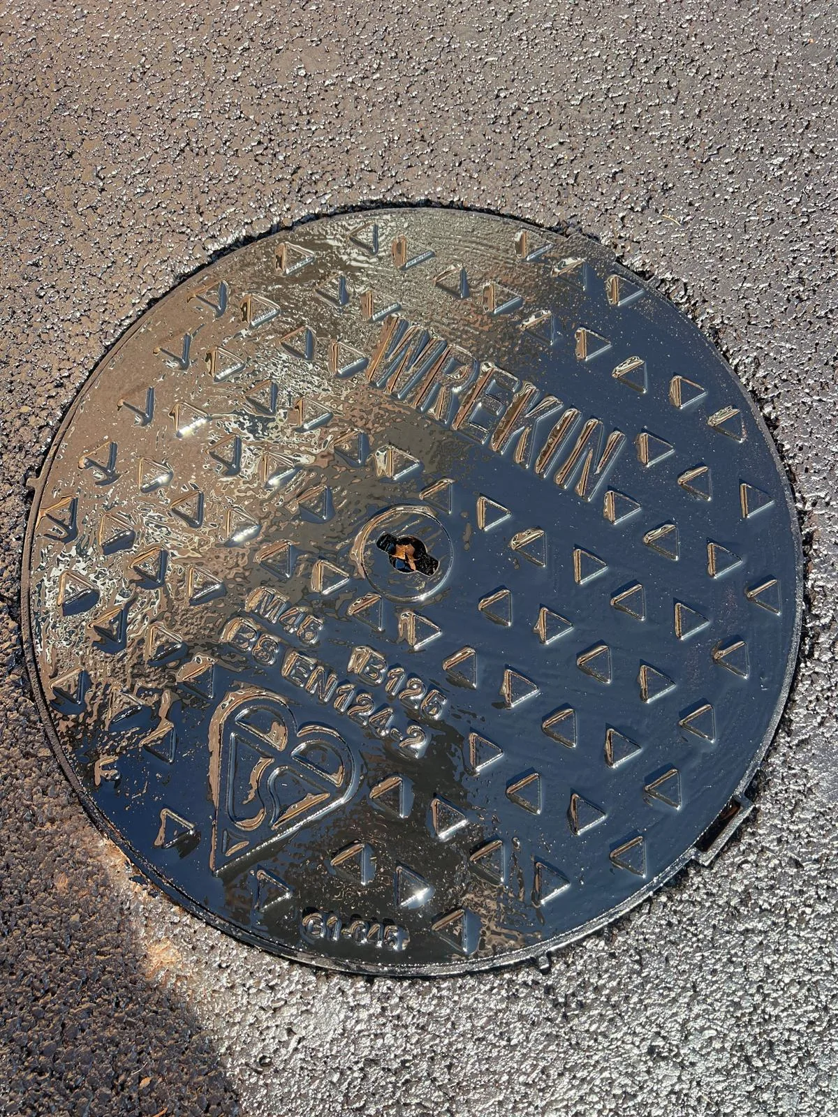 Drain cover after cleaning