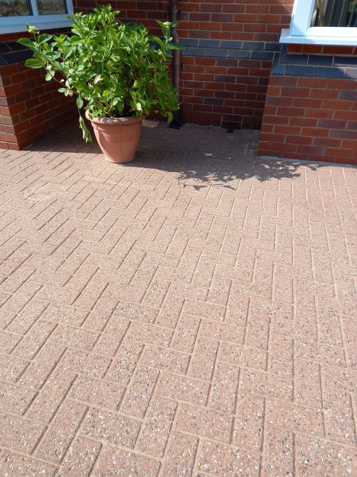 Driveway or patio cleaned for Liz Vincent